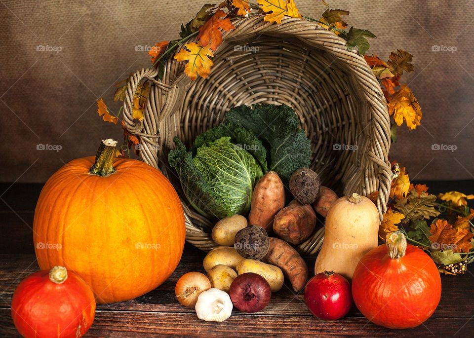 This year, spend Thanksgiving where it all began: on Cape Cod. In 1620, the Mayflower landed at Plymouth Rock. The following November, the newly settled Europeans gathered with the Wampanoag Indians to give thanks, celebrating the autumn harvest.
