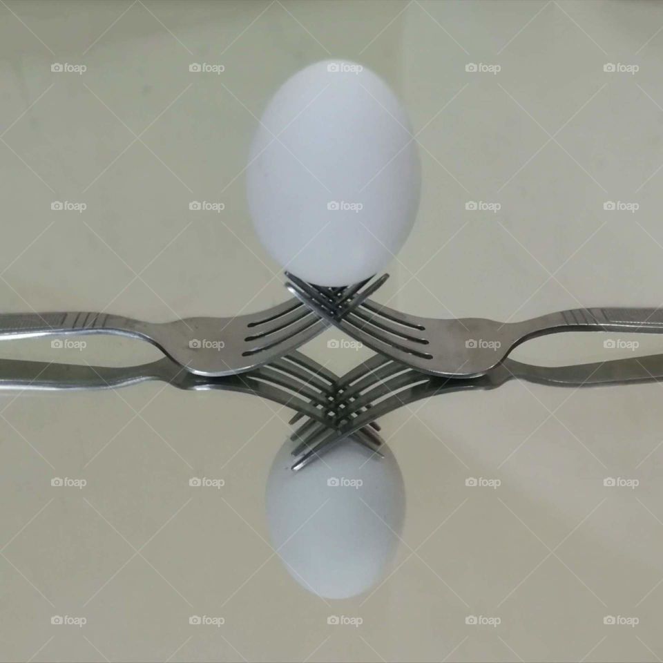eggflection