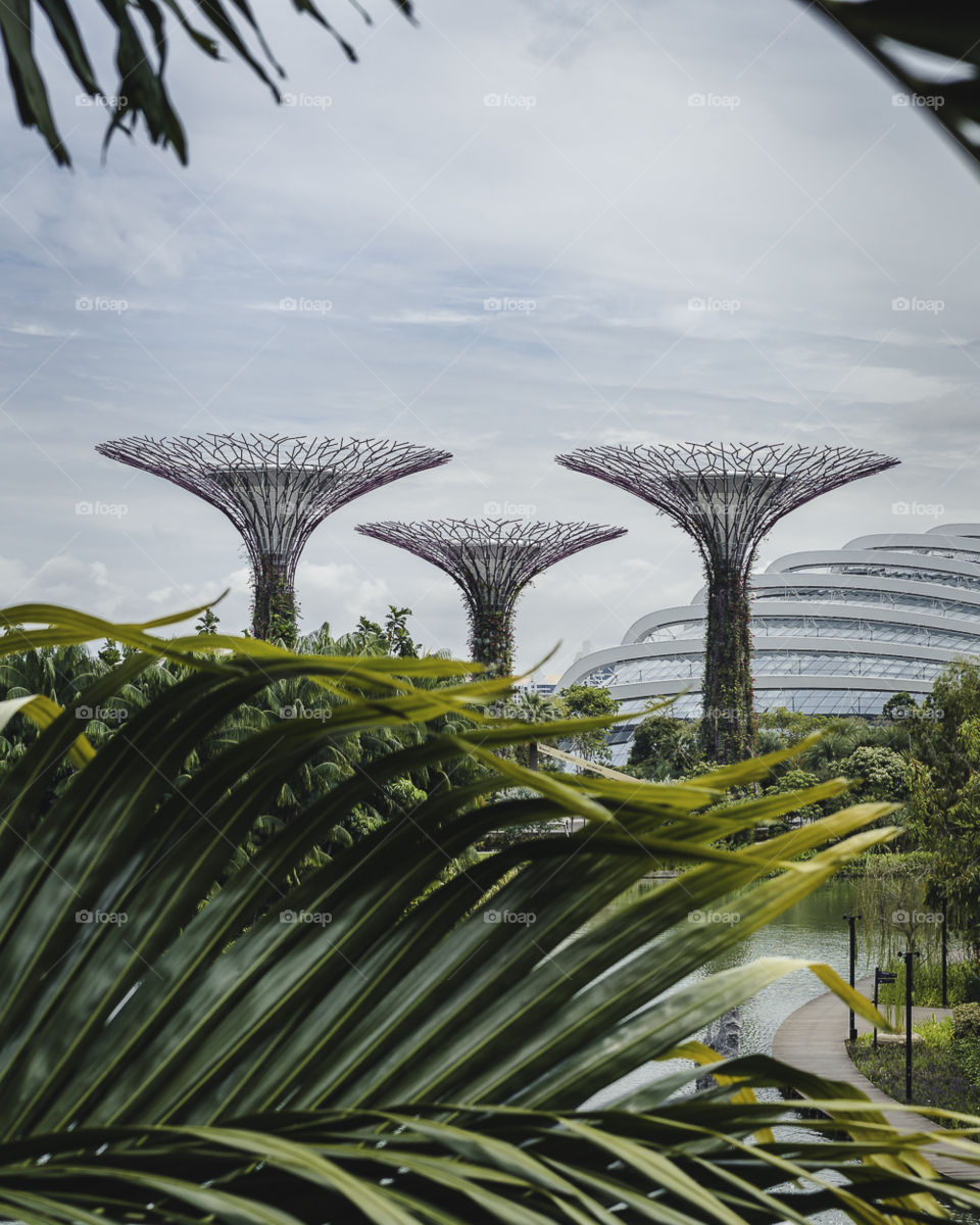 Gardens by the bay 