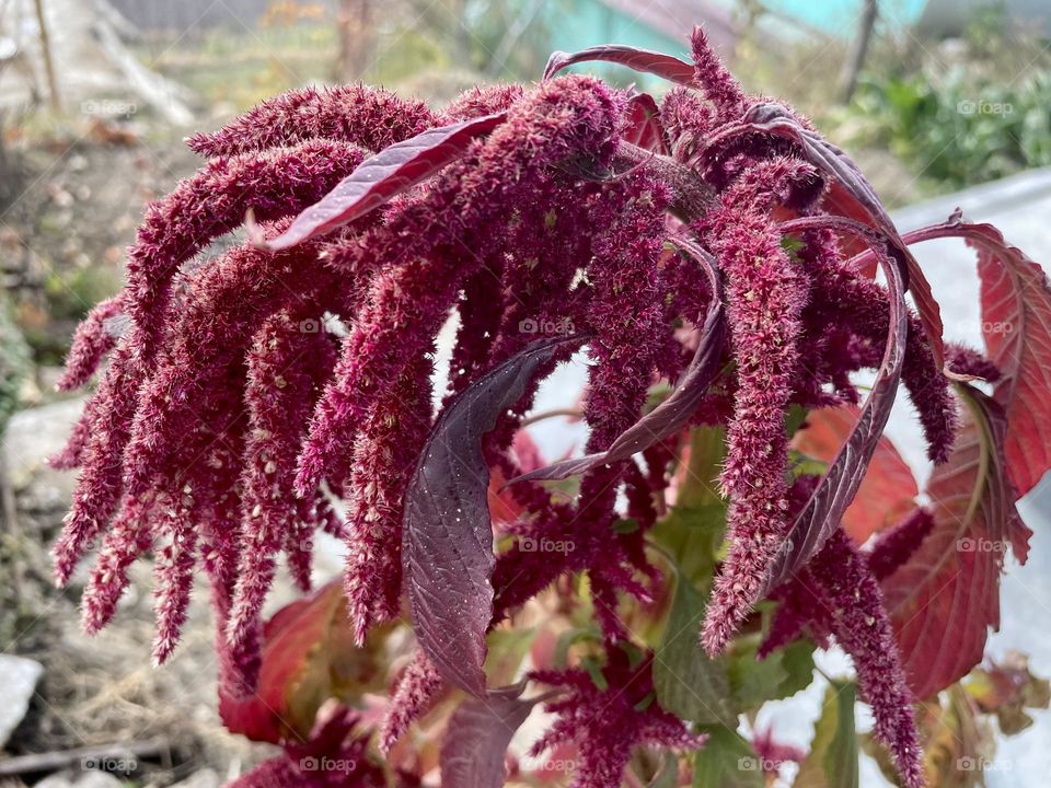 Nature's inspiration to be humble