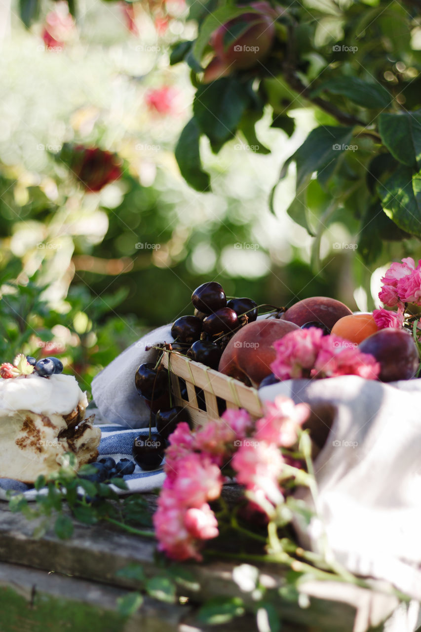 Cherry, apricot, plums, pink flowers and a berry cake in a summer garden