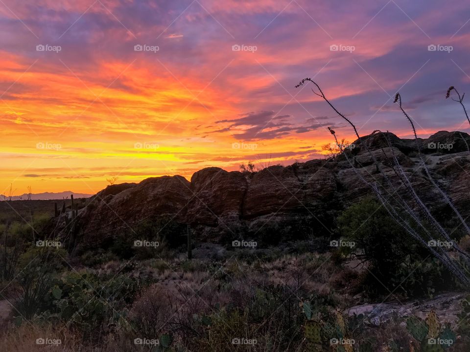 Desert Landscape - Sunset 