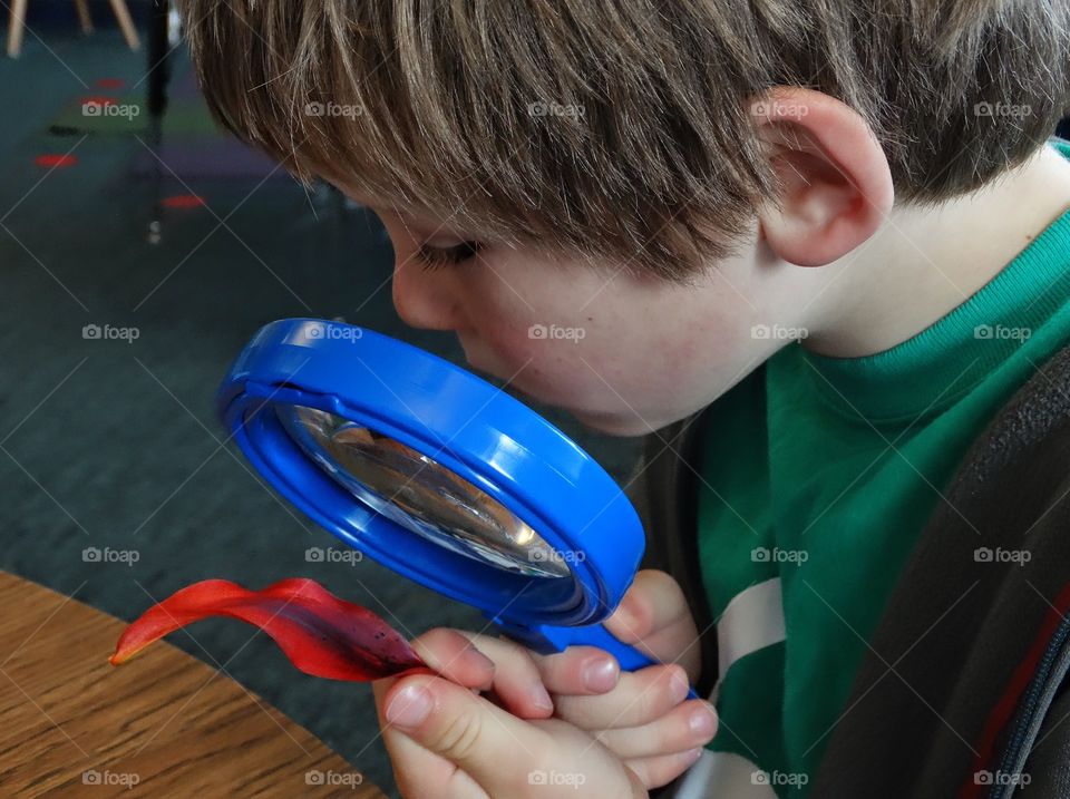 Curiosity. Young Boy Looking Through A Magnifying Glass
