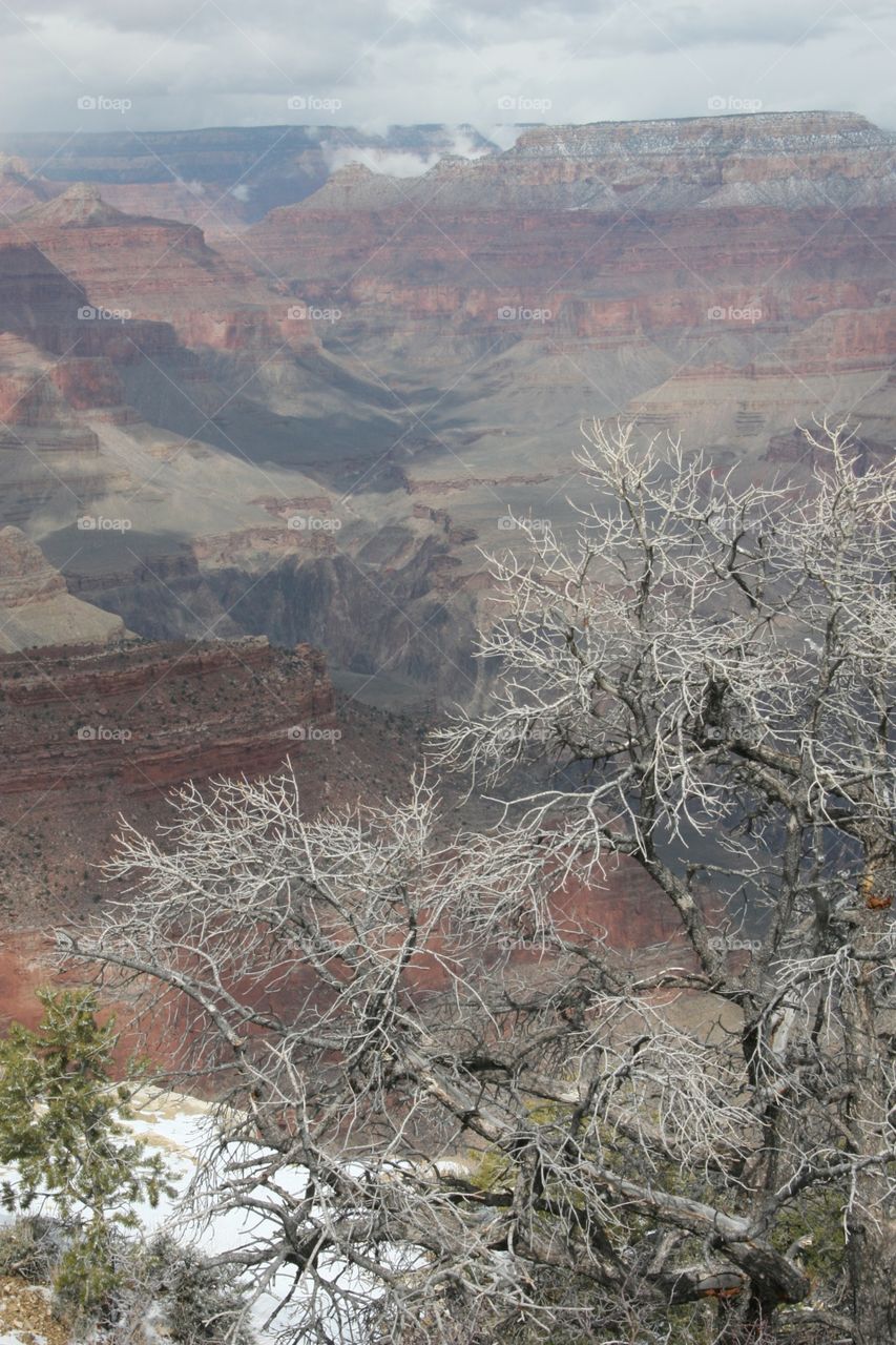 Winter at the Grand Canyon 