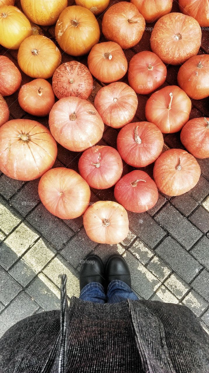 Bunch of pumpkins. Looking down on top of a bunch of pumpkins