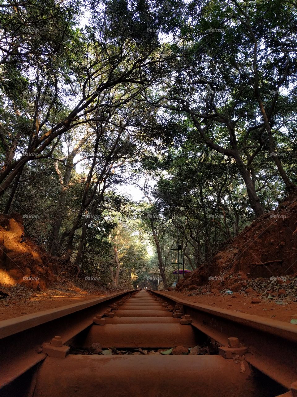 Matheran rail