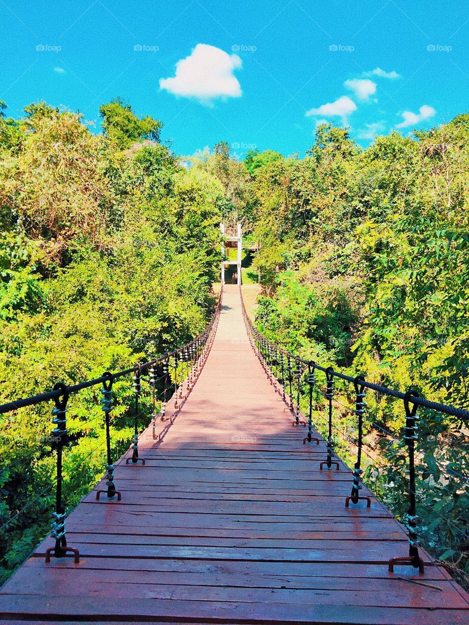 Wooden bridge walkway in Muang Thai Park.