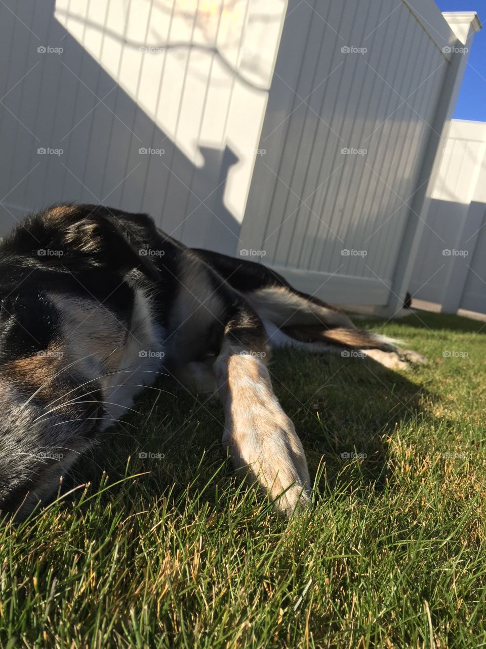 Trying to soak up as much sun as possible on this nice November day