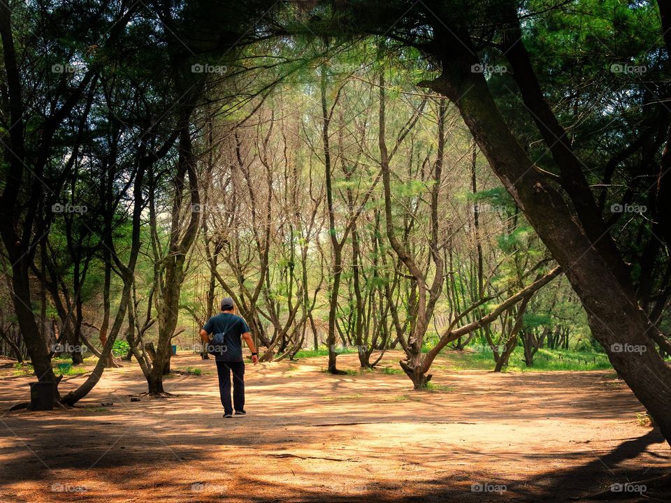 this picture was edited a little bit, just to make it more attractive. If you need the original as was shot, please let me know.