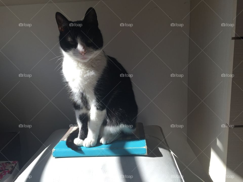 Sunbathing on the tablet