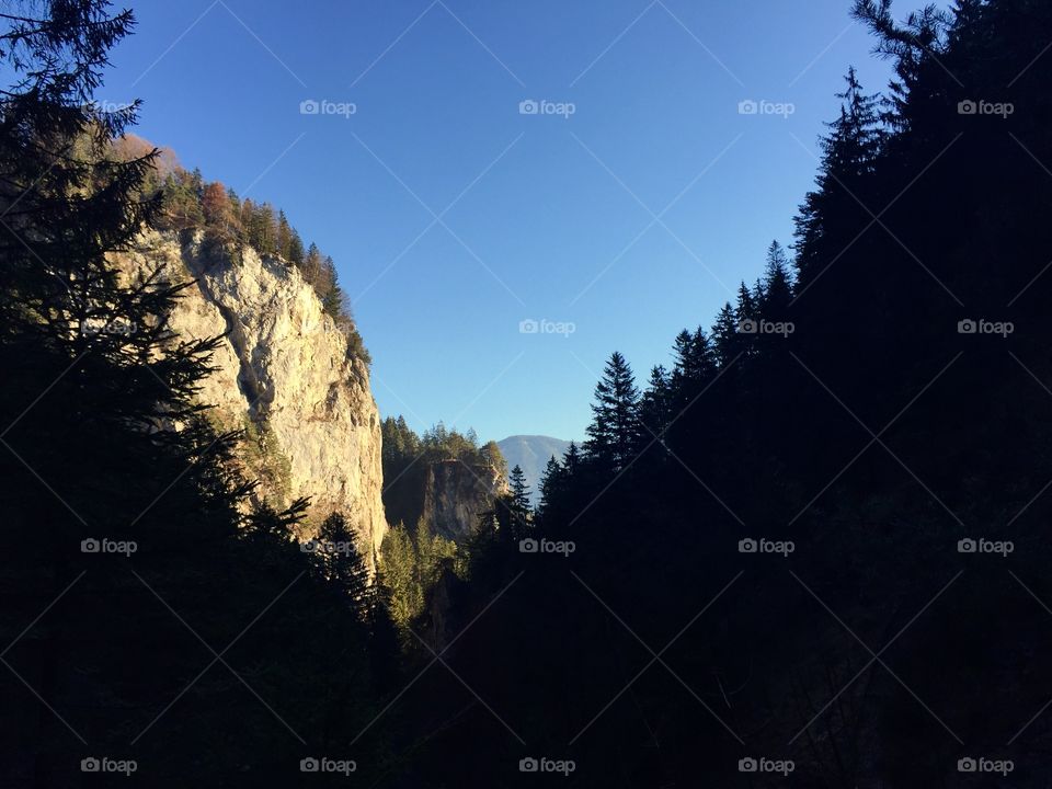 Trees making a heart-like gap through which blue sky and cliffs can be seen