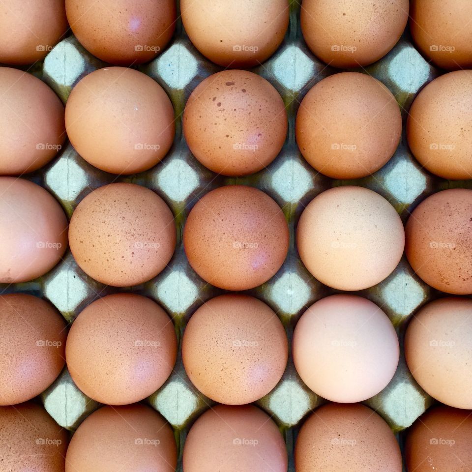 Twentyfive Eggs