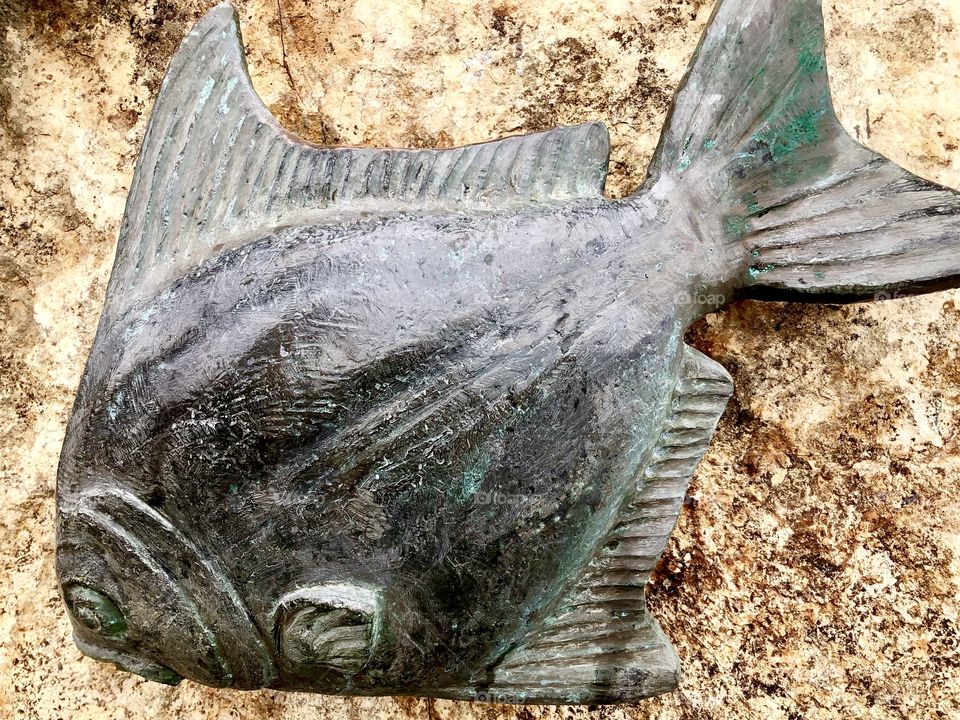 Stone fish