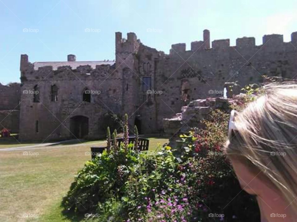 Extravagant Surroundings