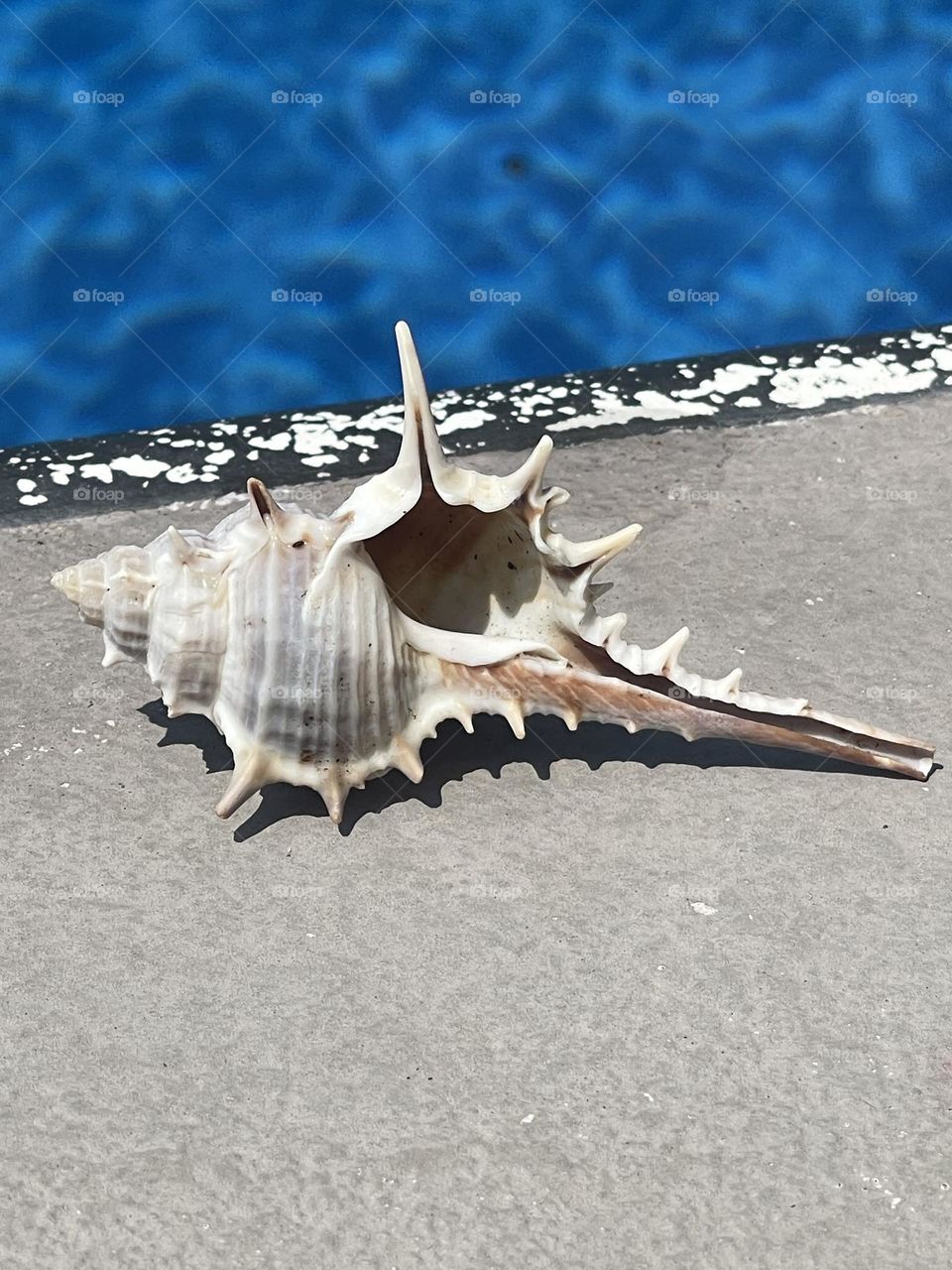 Summer time/ ocean time 