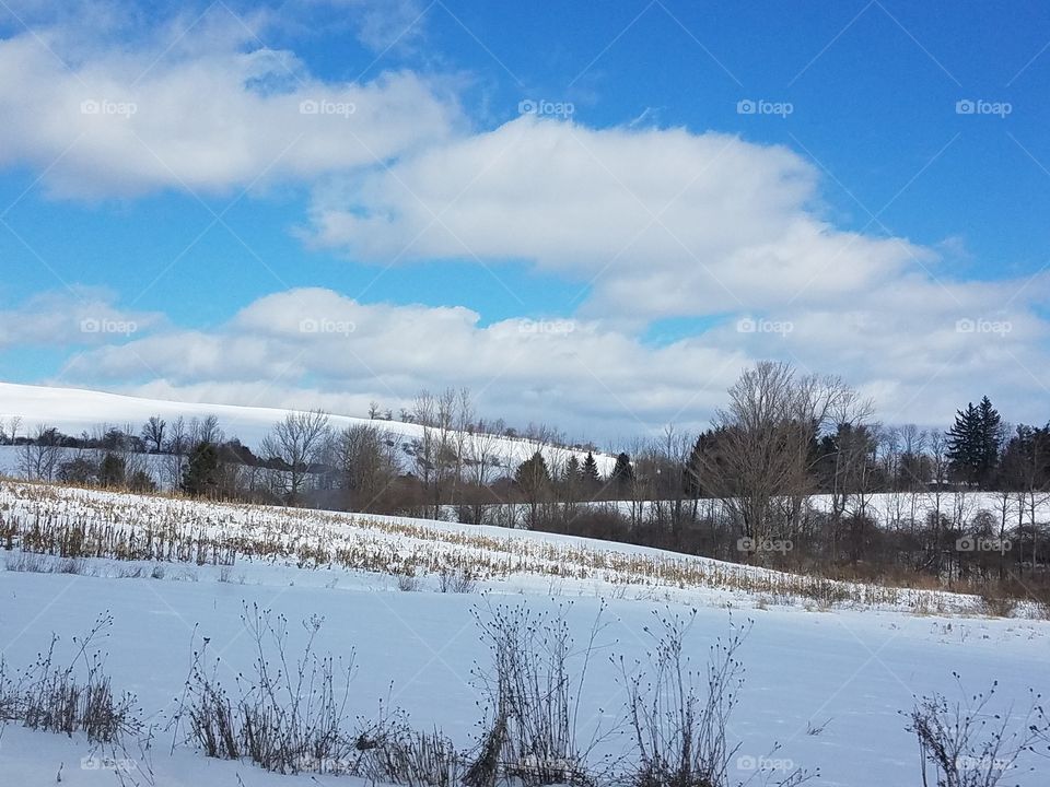 Winter, Snow, Landscape, Cold, Tree