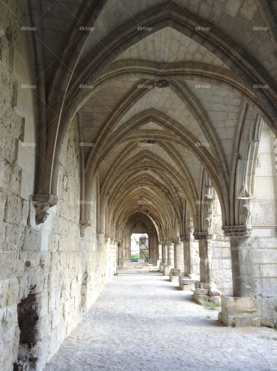 Gothic Vaulting. France