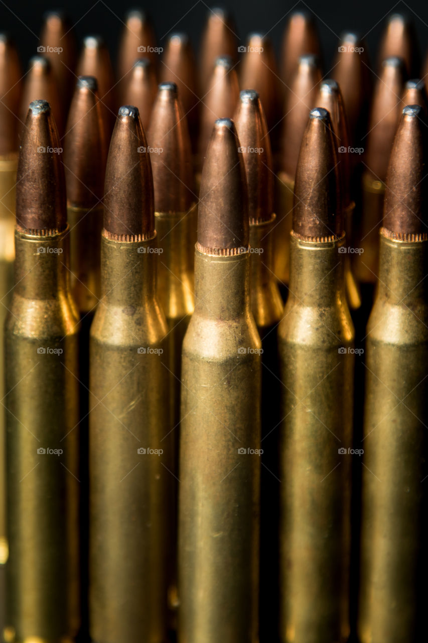 Hunting ammunition