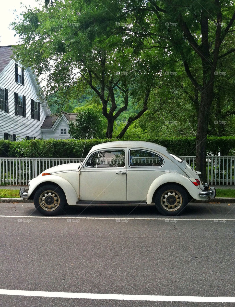 car summer classic beetle by javidog