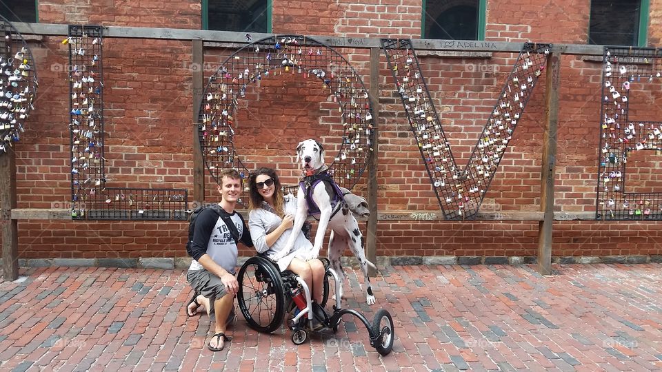 Couple with dog against the metallic locks hanging on love text