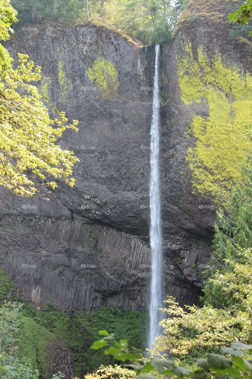 Nature, Fall, Wood, Waterfall, Leaf