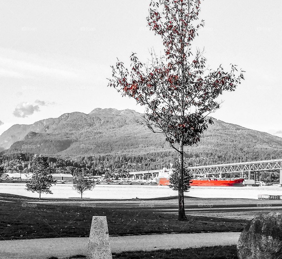 View of Vancouver’s north shore in black and white with a splash of red 