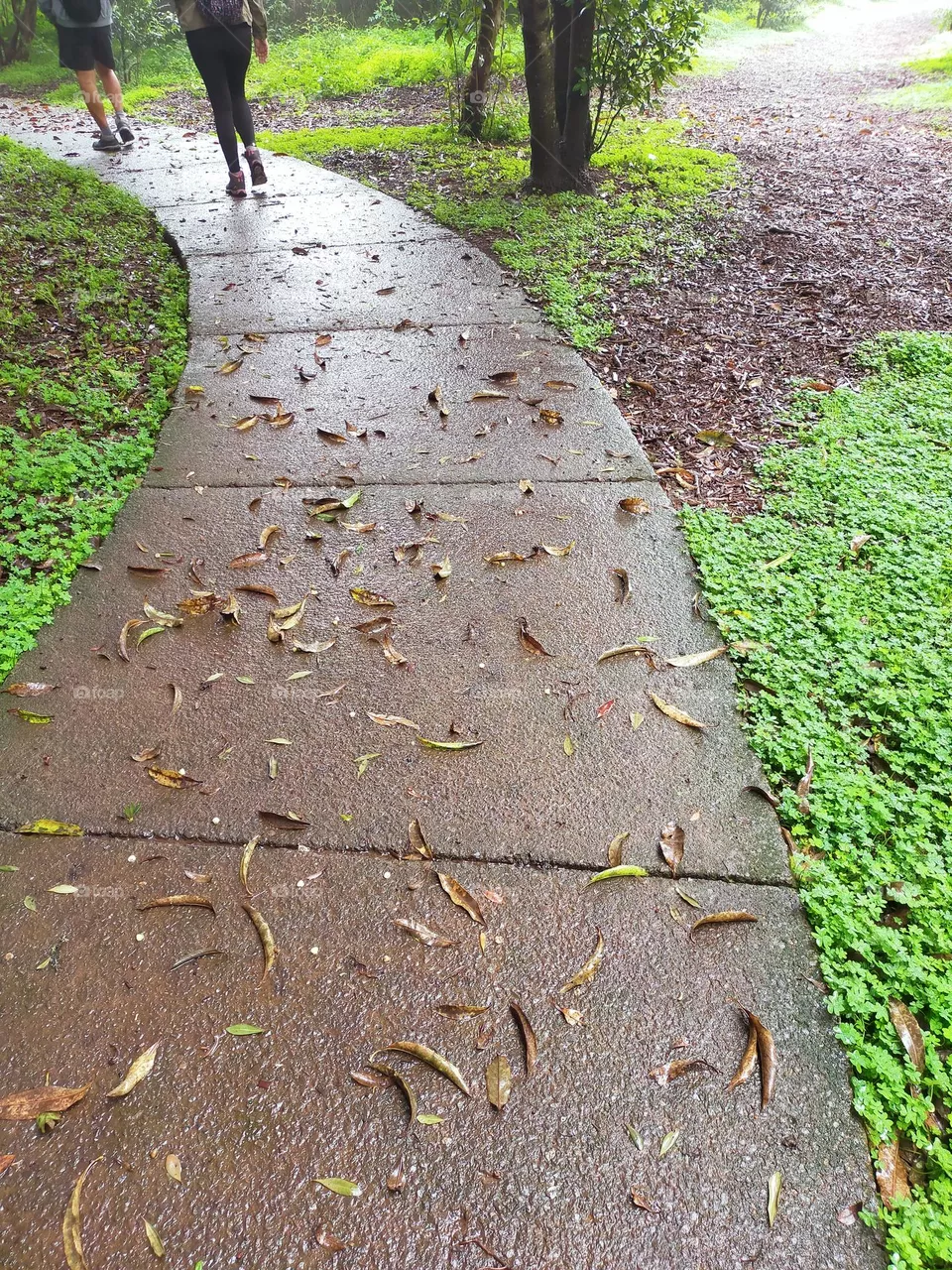 paseo de sendero