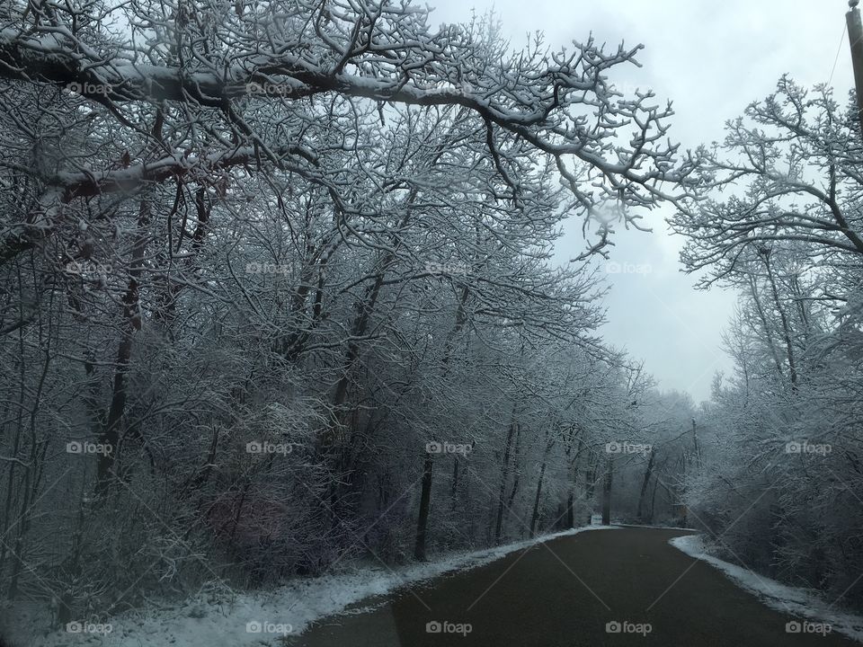 Wonderful winter wonder land of Mchenry Illinois 