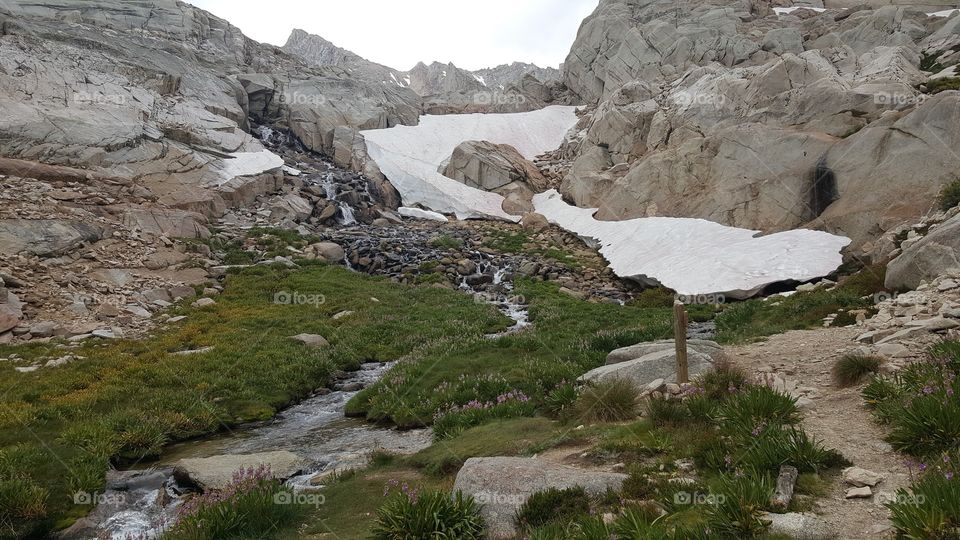 above the tree line, where the streams begin.