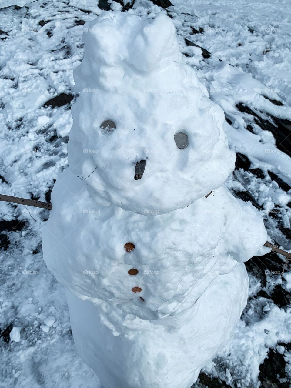 Winter scene the snowman in Central Park. Eyes made of quarter dollars and designed with pennies.