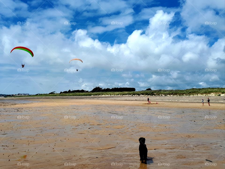 paragliding over the beach
