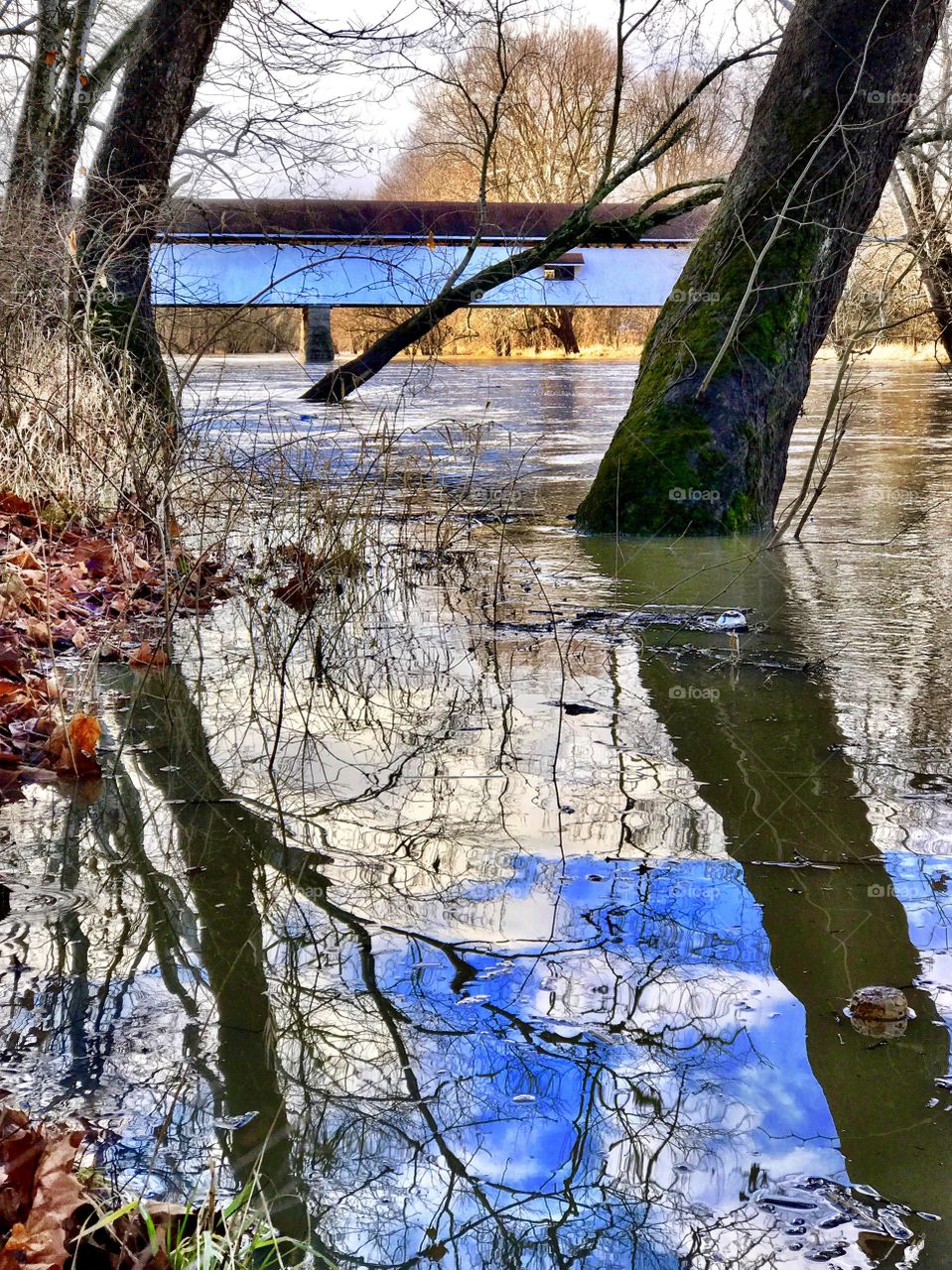 Beautiful day in Indiana. 