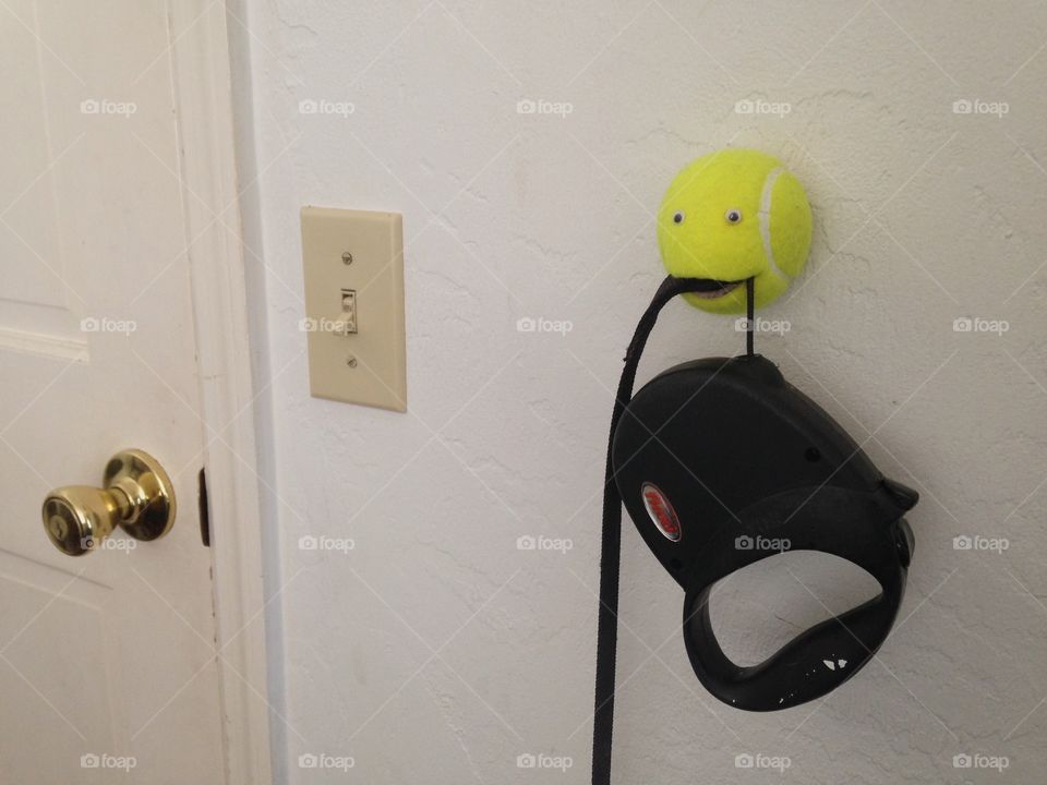 Tennis ball dog leash holder