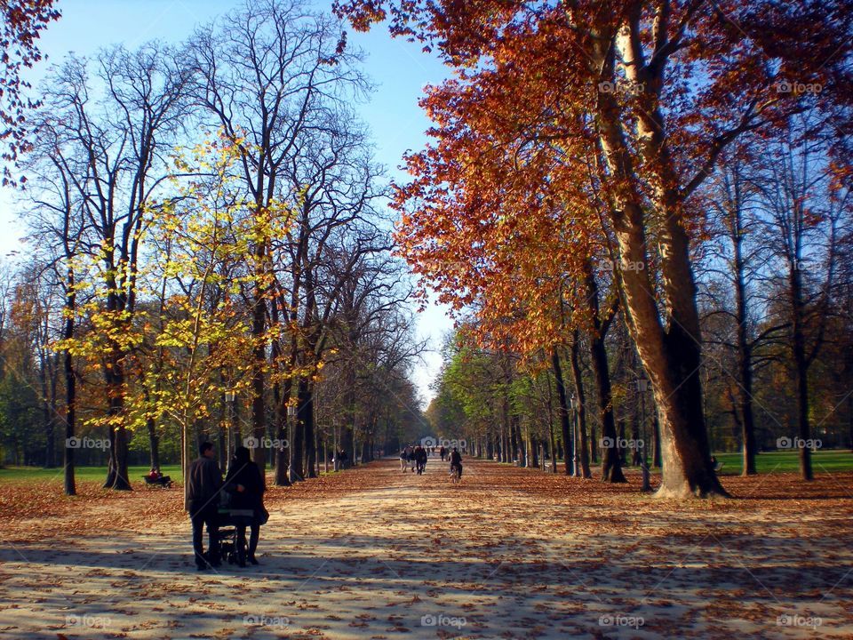 People walking in park