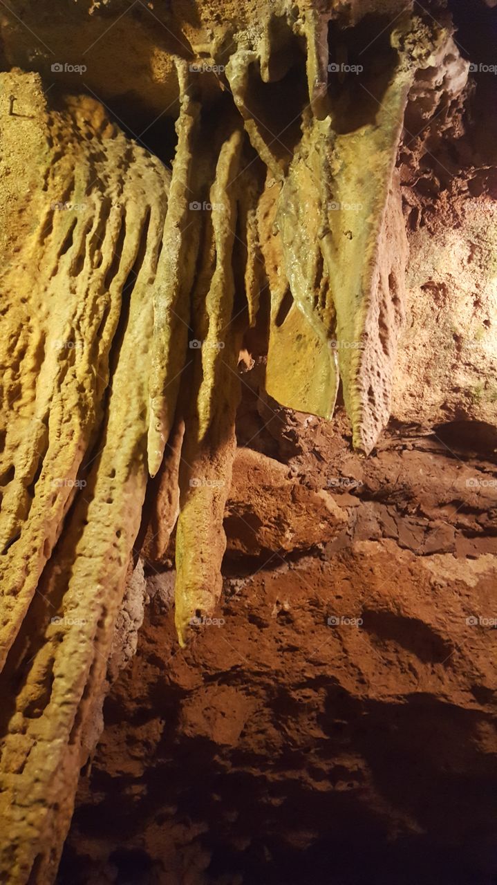 Florida caverns