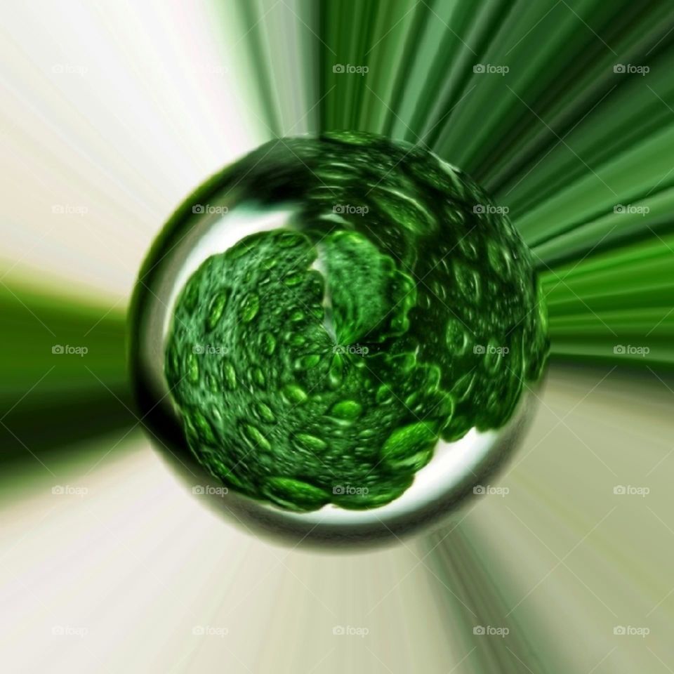 Spring green shot view shape circle abstract abstraction Art