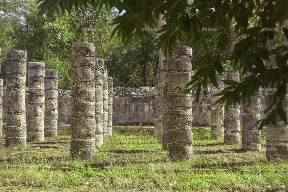 Detail filtered by the vegetation of the columns of the Temple of the Warriors in the archaeological complex of Chichen Itza in Mexico