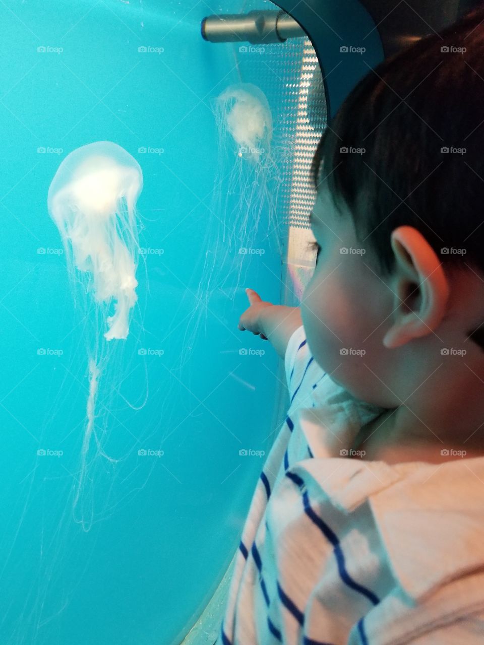 Boy enjoying aquarium jellyfish
