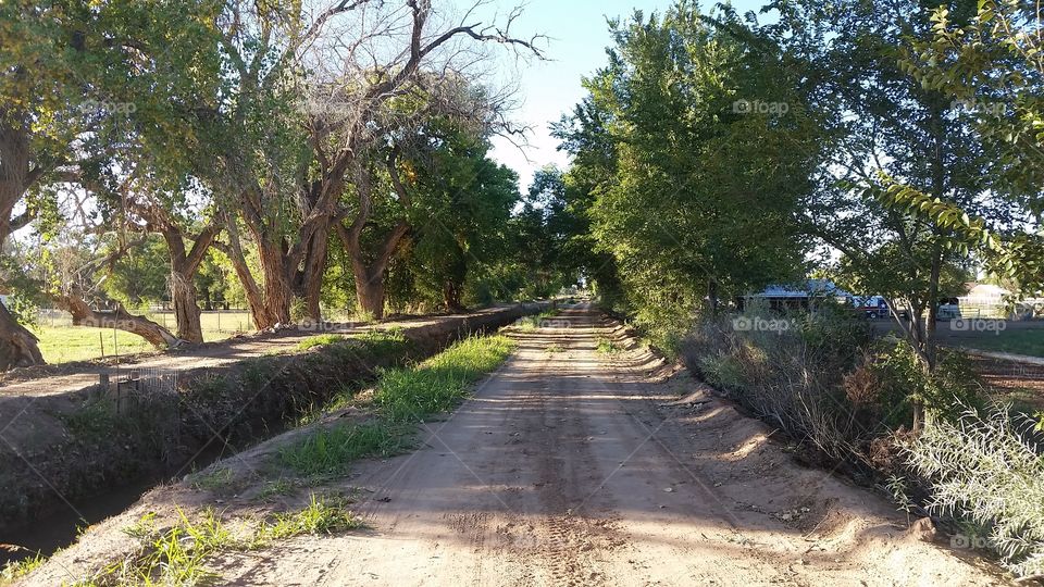 pathway through New Mexico