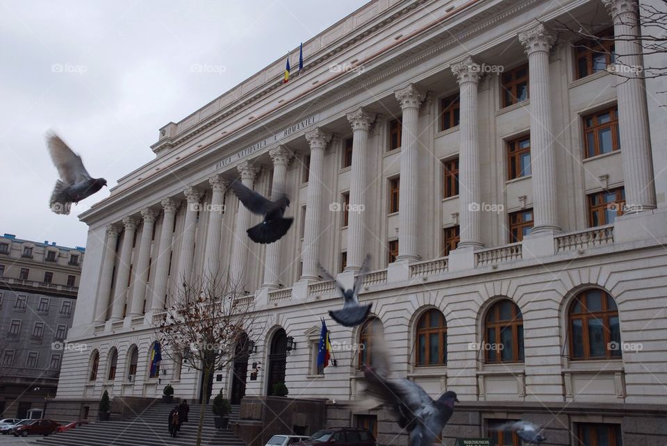 Bucharest, Central Bank building with pigeons