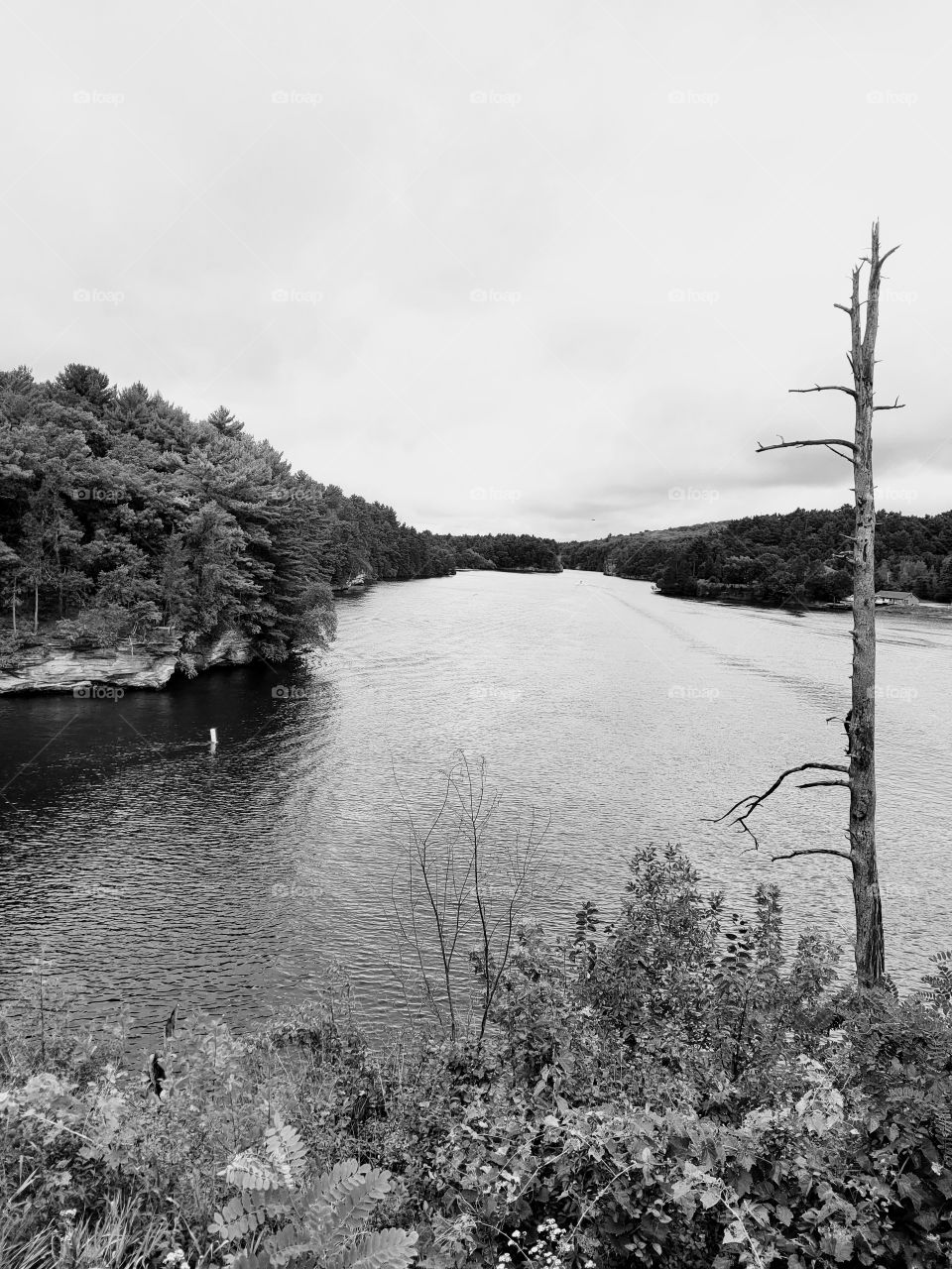 realistic and in joy