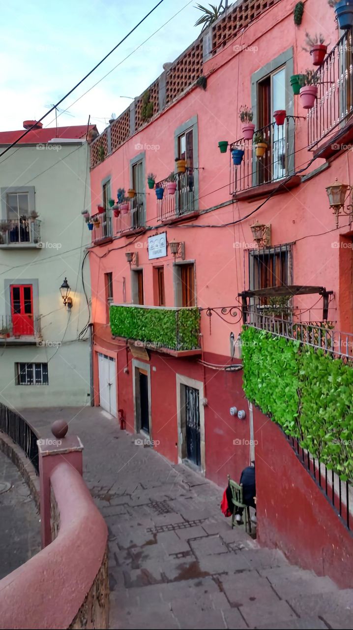 plantas en la ciudad