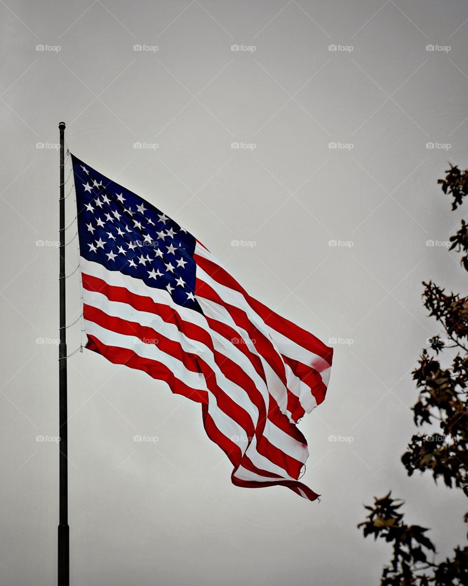 The bright red and white stripes, paired with the bold blue union and white stars gives the US flag a beautiful presence in any weather.