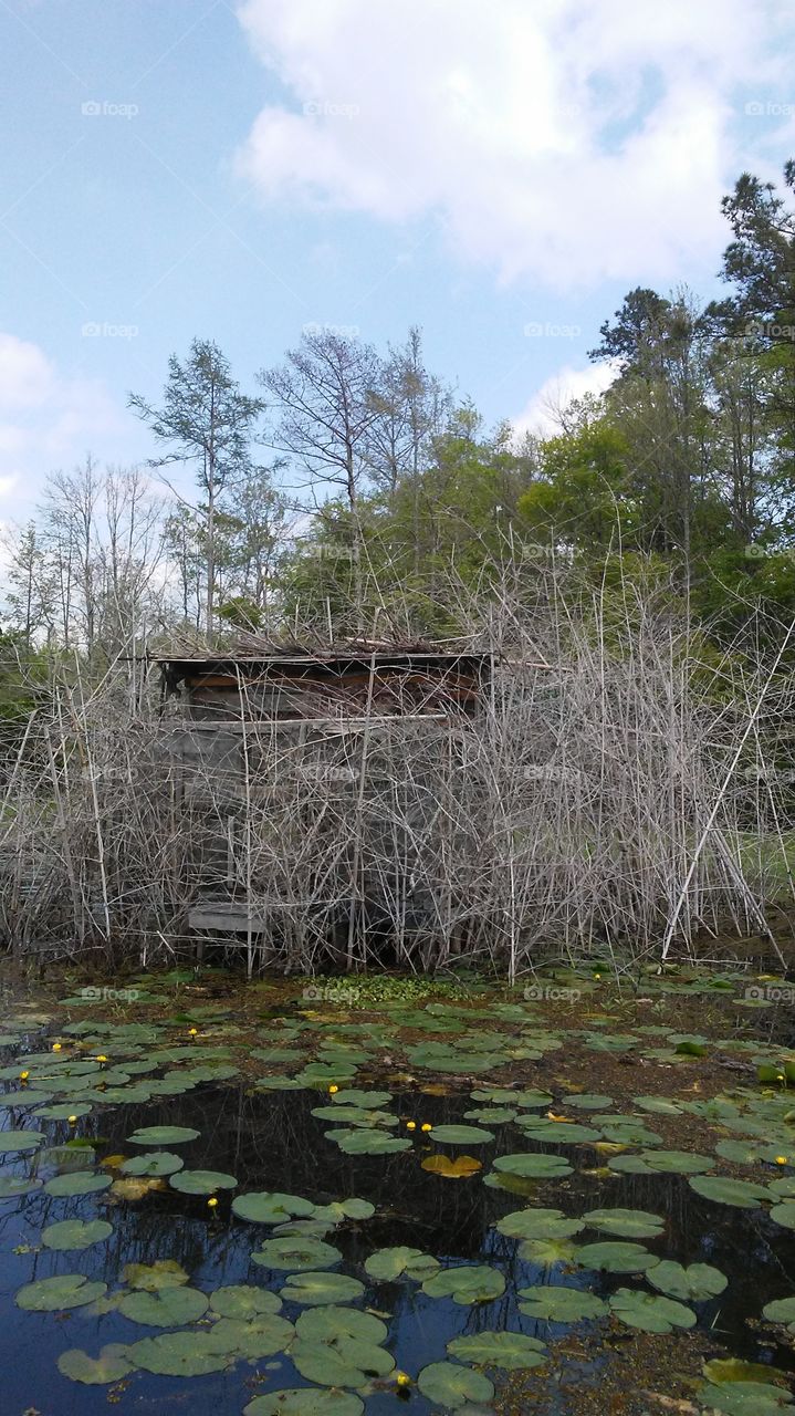 Duck blind on the Bayou, called the Tiki hut.