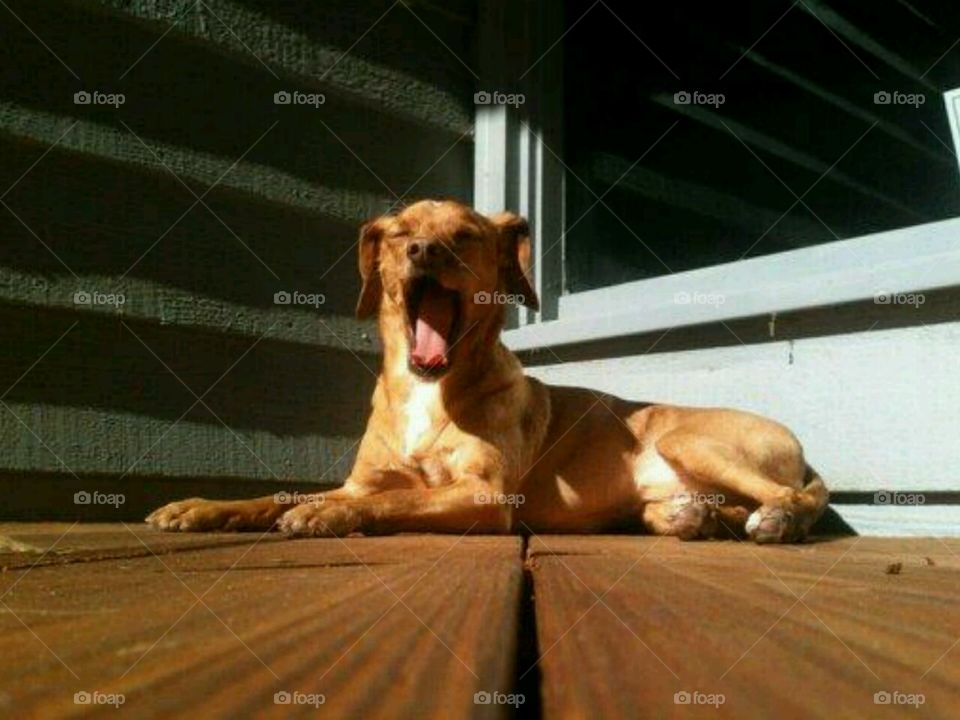 Can you hear me now?