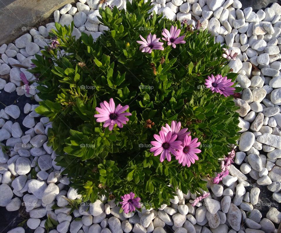 Editors' Choice - Photo of the Week