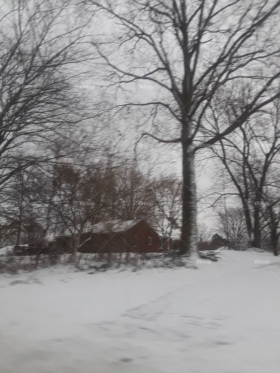 snowy barn