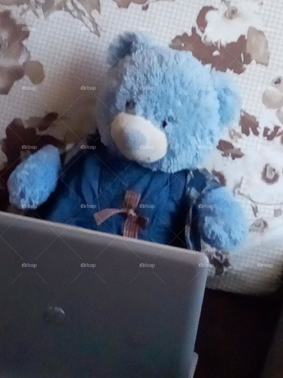 working on my laptop