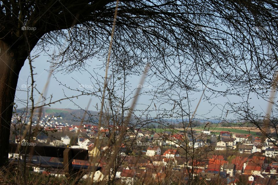 tree and city