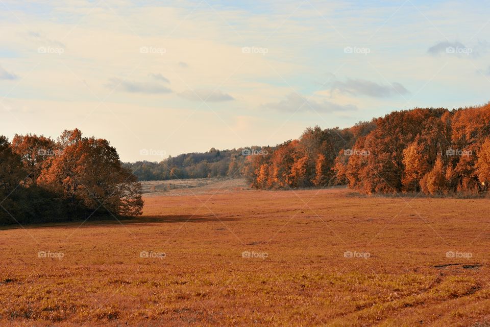 Russian fall